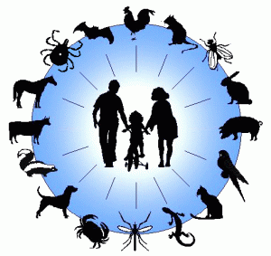 Read more about the article Zoonosis