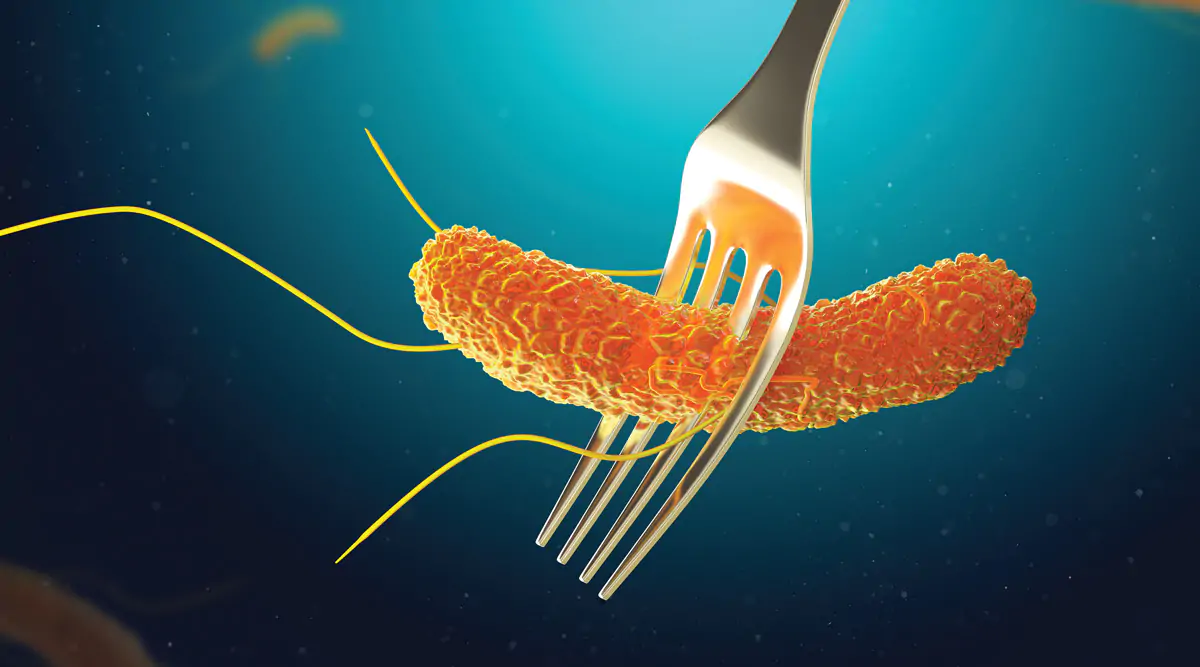 You are currently viewing Salmonella is not a food ingredient!