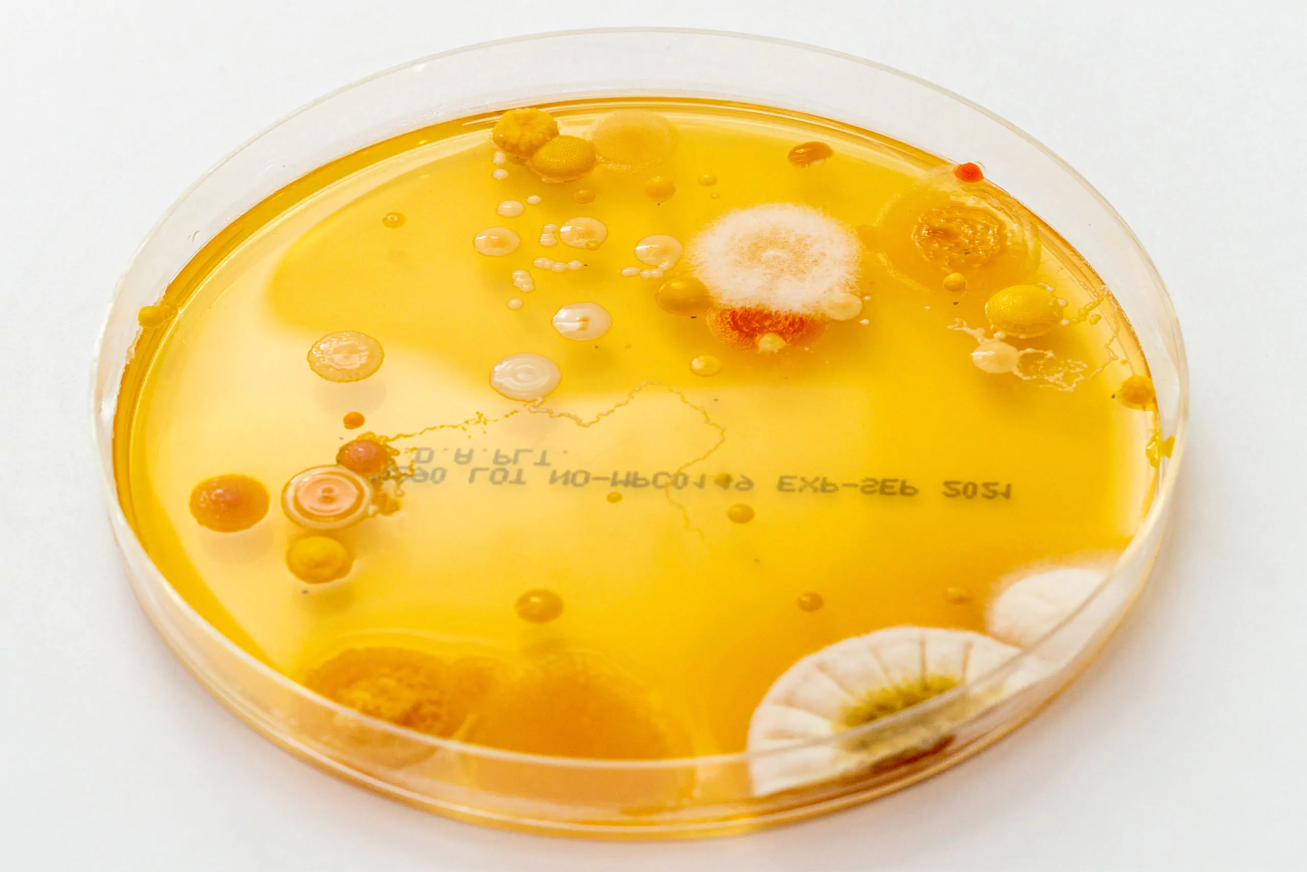Surface Testing at Biotech Testing Services